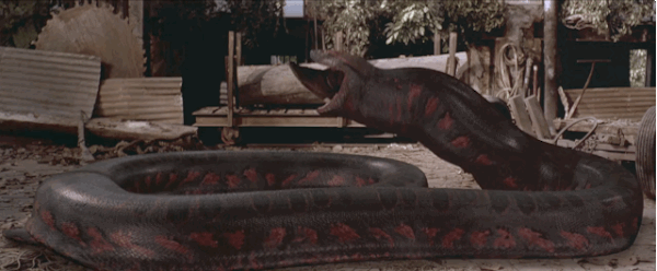 phim rắn khổng lồ big snake 2018 phần 2